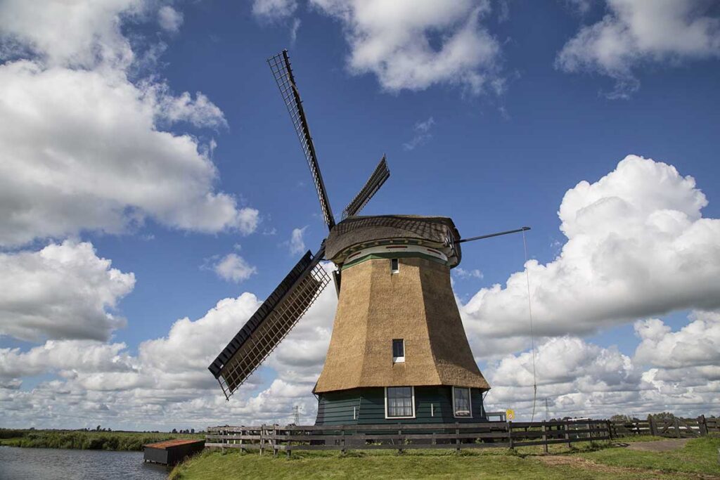 Rietgedekte poldermolen met wieken in het weiland
